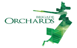 BRIGADE ORCHARDS