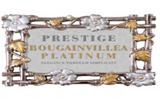 PRESTIGE BOUGAINVILLEA