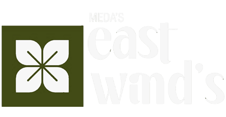 MEDA EAST WINDS