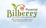 PYRAMID BILBERRY