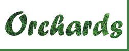 SHANDERS ORCHARDS