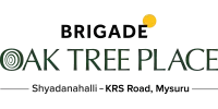 BRIGADE OAK TREE