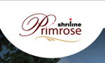 SHRILINE PRIMROSE