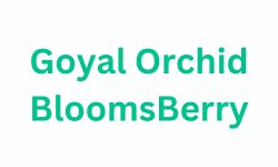 GOYAL ORCHID BLOOMSBERRY