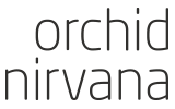 ORCHID NIRVANA