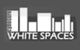 CYNOSURE WHITE SPACES